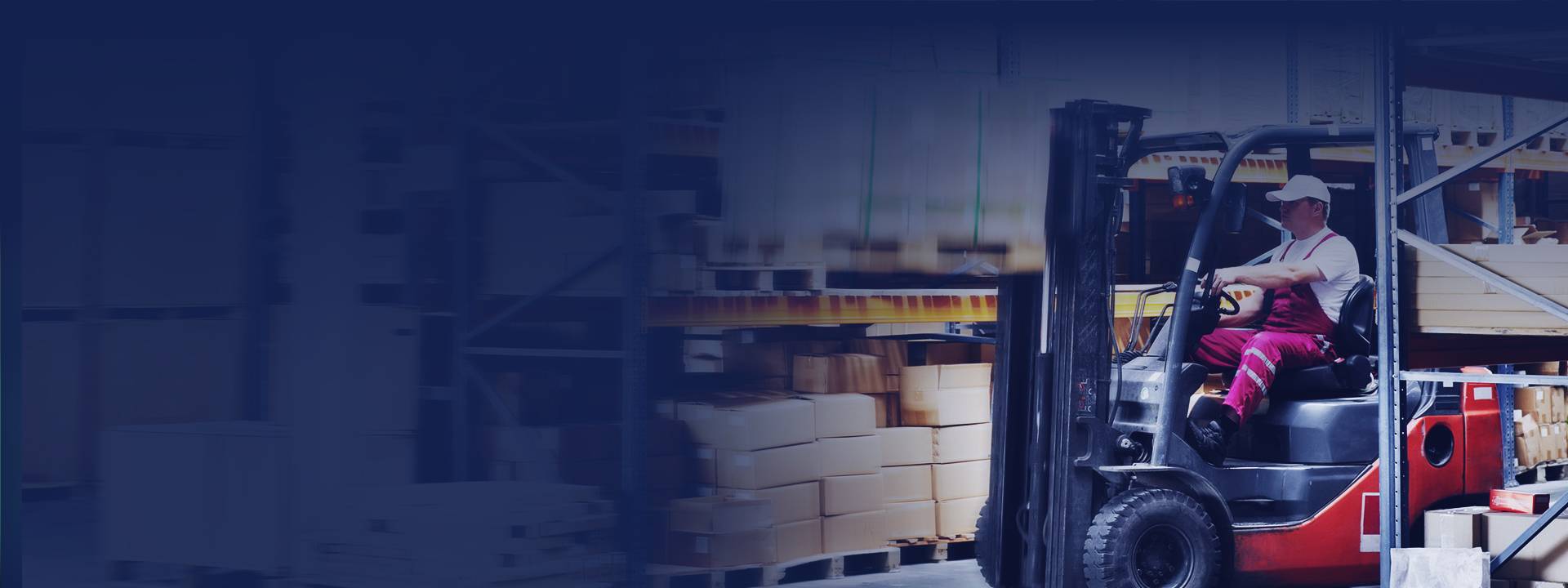 Trusted Partner Solutions 